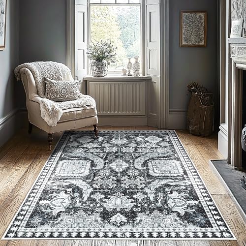 LAISE 5x7 ft Area Rug - Washable Non-Slip Indoor Rug