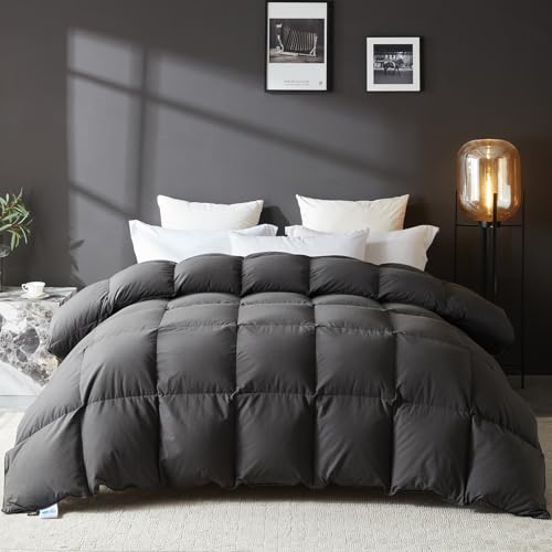 L LOVSOUL Goose Feather Down Fiber Comforter Queen (72oz)
