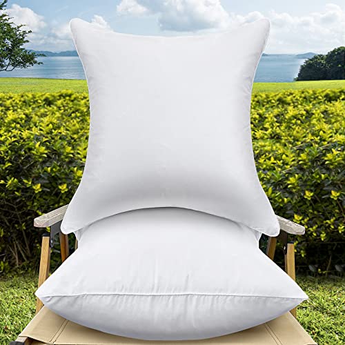 QSWRD 24 x 24 Pillow Inserts (Set of 2)