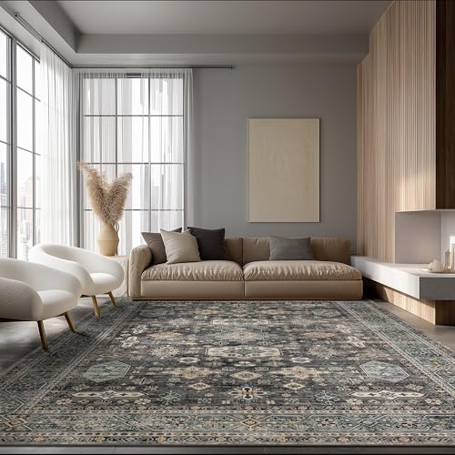 Area Rug Non Slip Machine Washable Ultra Soft Living Room/Bedroom/Kitchen/Outdoor/Classroom Silver, 8'10'