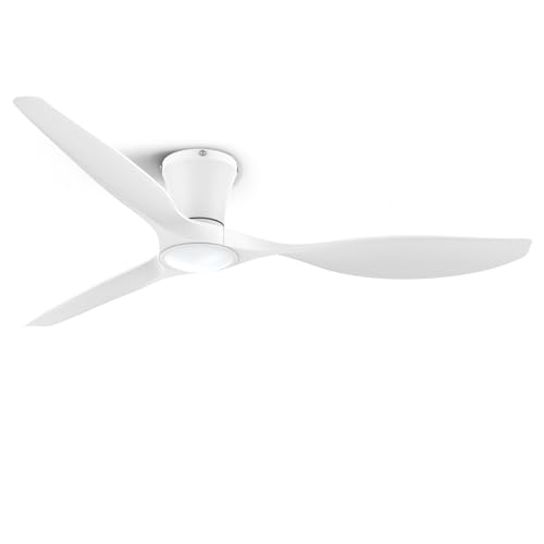 ocioc 52" Ceiling Fan