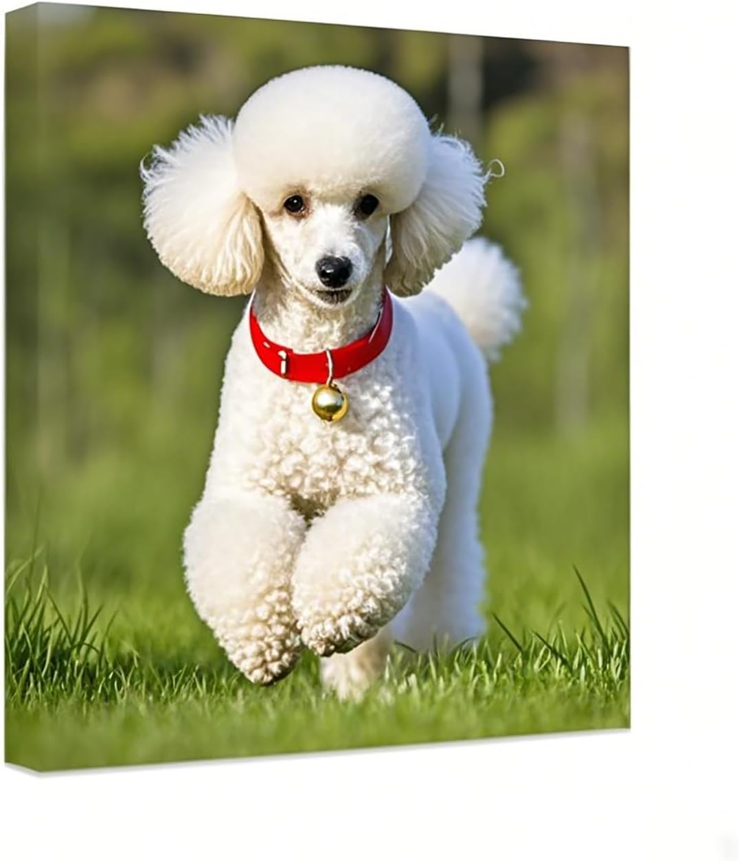 Anjiefo Personalized Canvas 24x36
