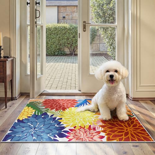 Arenarug 2x3 Multicolored Washable Rug