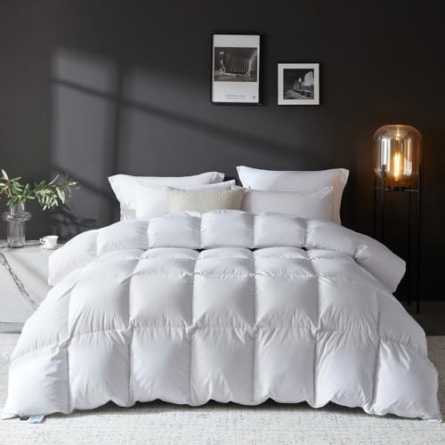L LOVSOUL Goose Feather Down Fiber Comforter Queen (92oz)